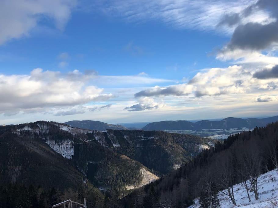 Teichalm Lodge Landhaus ฟลาดนิทซ์ อัน เดอร์ ไทค์อัลม์ ภายนอก รูปภาพ