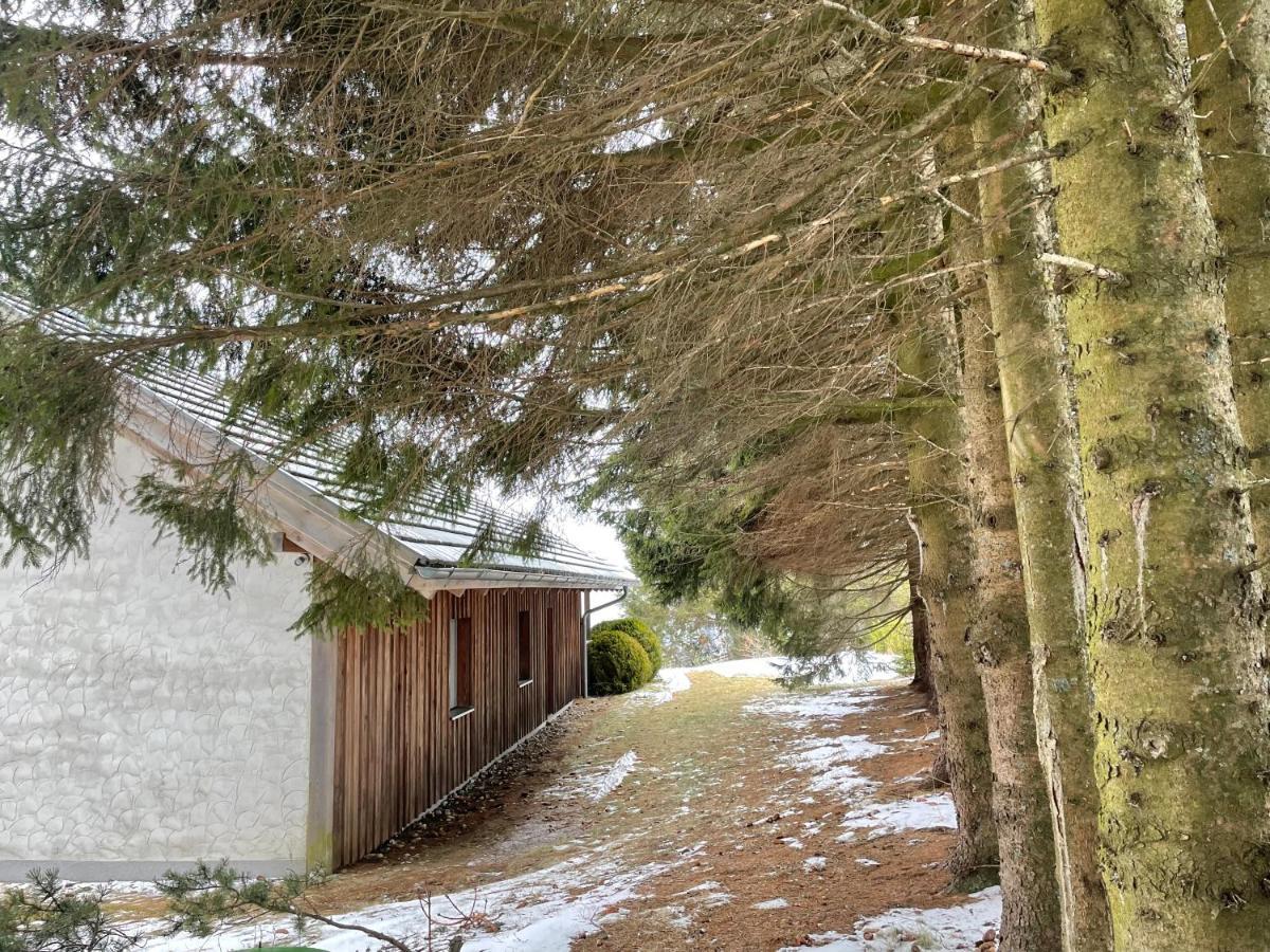 Teichalm Lodge Landhaus ฟลาดนิทซ์ อัน เดอร์ ไทค์อัลม์ ภายนอก รูปภาพ