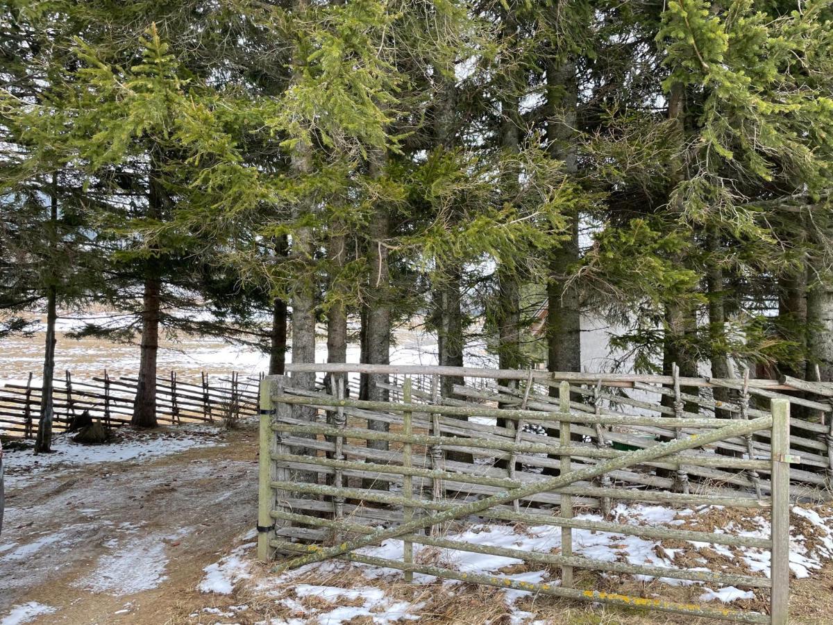 Teichalm Lodge Landhaus ฟลาดนิทซ์ อัน เดอร์ ไทค์อัลม์ ภายนอก รูปภาพ